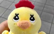 新入生ブログ3人目！